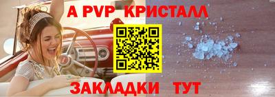 прущие крисы Гай