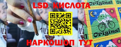 прущие крисы Гай