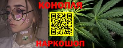 прущие крисы Гай