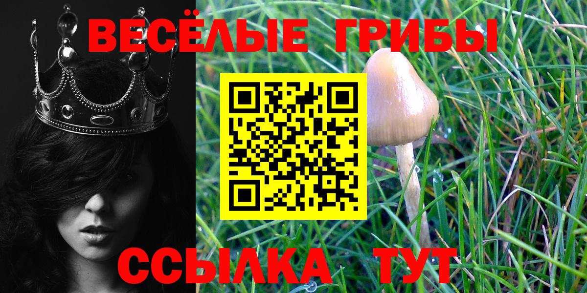 Усинск  Псилоцибиновые грибы Magic Shrooms  Вход с VPN  Галлюциногенные грибы Psilocybe 