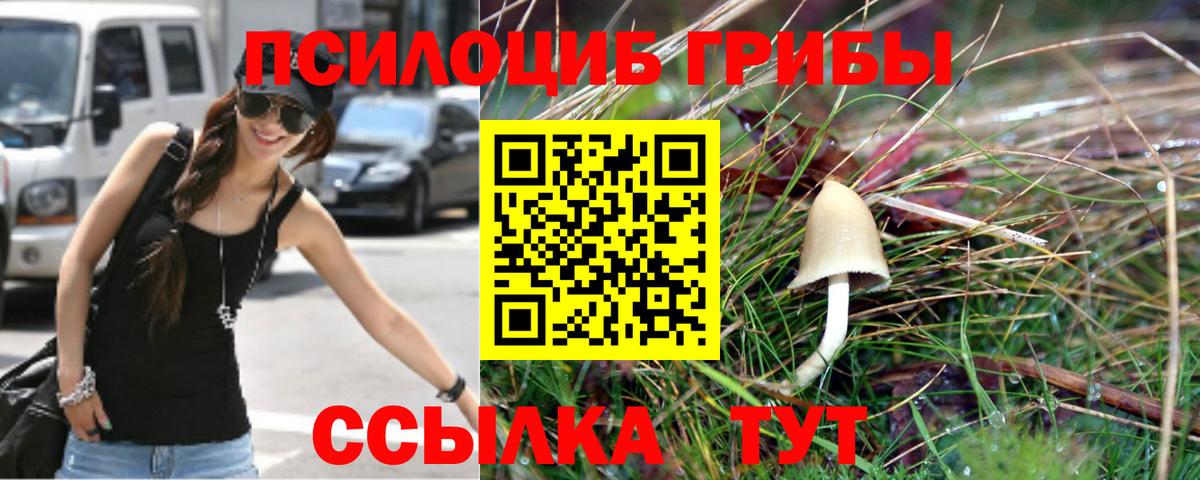 Галлюциногенные грибы прущие грибы Усинск
